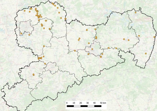 kontrollierte Uferschwalbenhabitate in Sachsen bis zum 19.Juli 2020